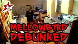 Mellowb1rd DEBUNKED! | Scary Poltergeist Activity Hoax | FAKE GHOST SIGHTINGS DEBUNK!