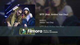 WTF (feat. Amber Van Day)(lyrics)(10 stunden version)